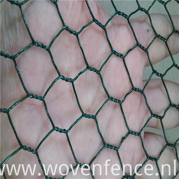 PVC coated hexagonal wire mesh